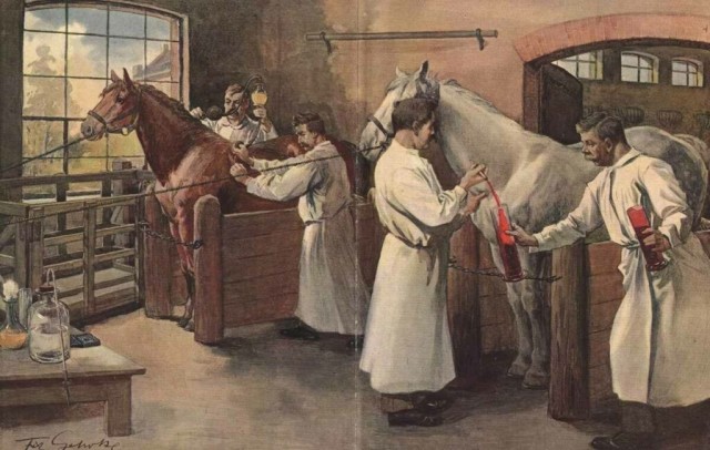 Кто такие коновалы и почему их профессия исчезла