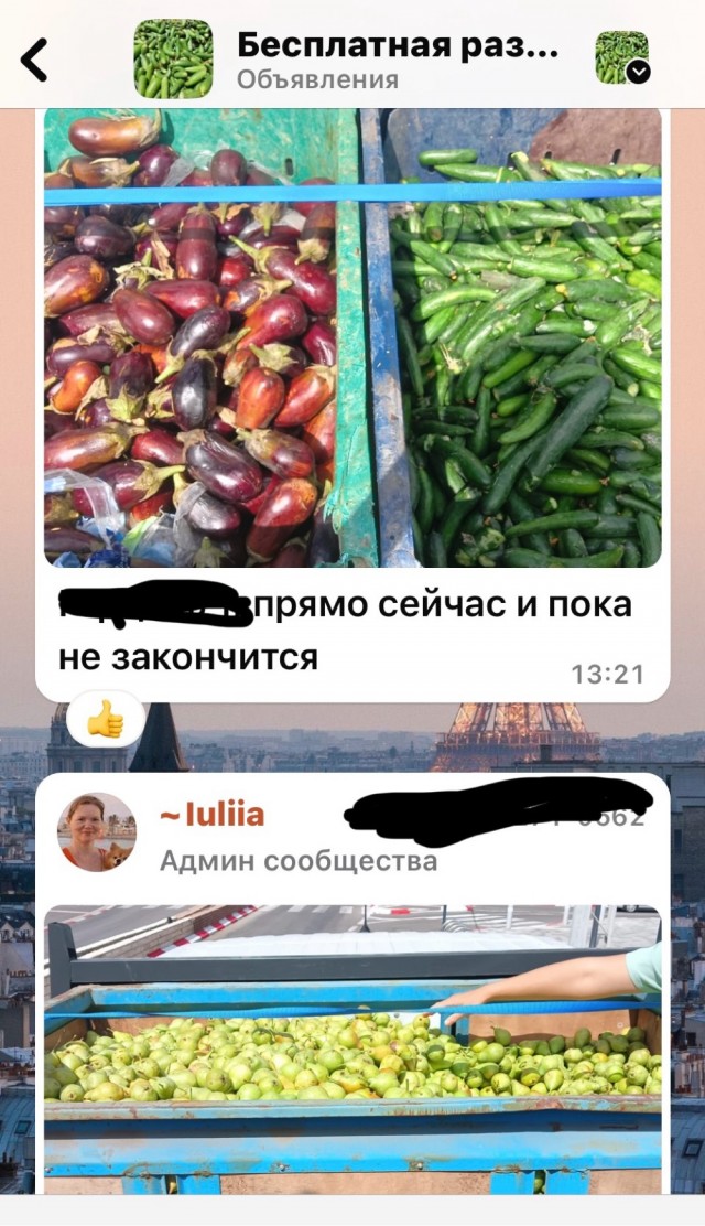 Жители Якутска разграбили поля местного фермера