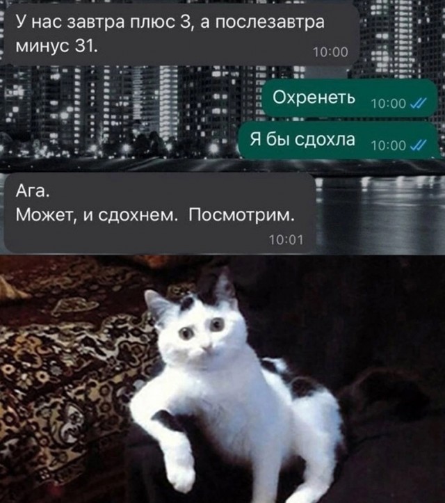 Завалялось тут случайно немного забавных картинок