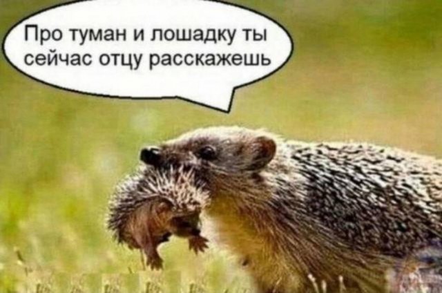 Нуштош 13.12.2024