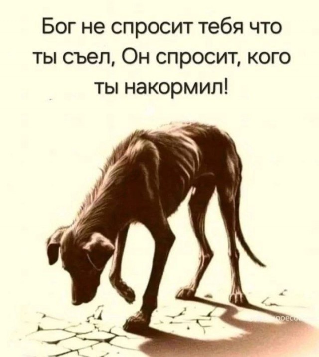 Ты беги, беги по Радуге, зверь, мягкими лапами переступай... В память о Славе