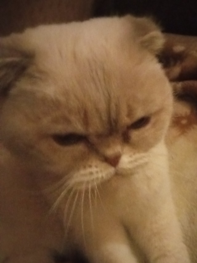 А нам сегодня 10 лет!!!