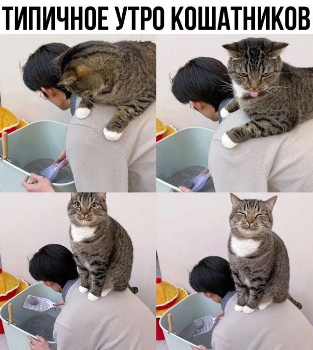 Завалялось тут случайно немного забавных картинок