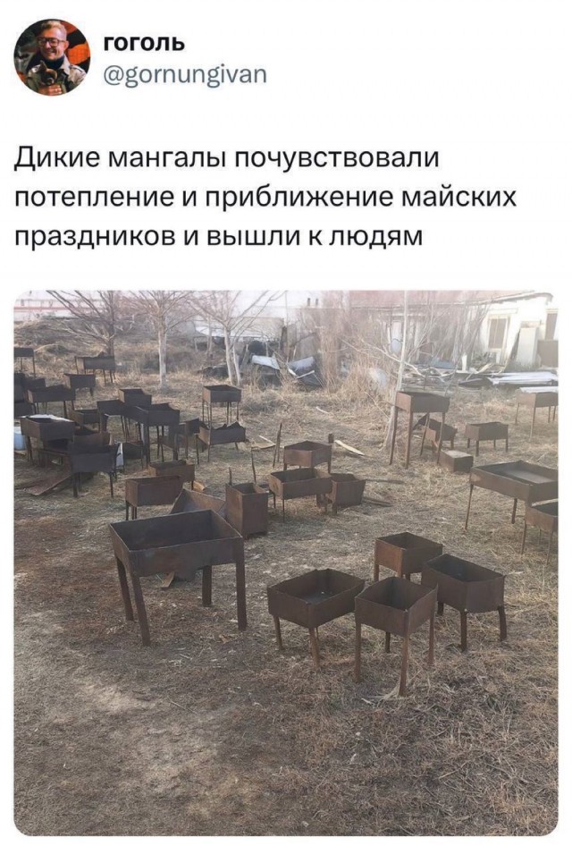 Завалялось тут случайно немного забавных картинок