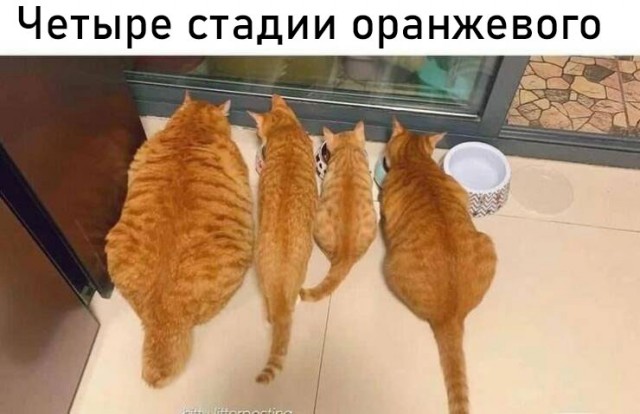 Завалялось тут случайно немного забавных картинок