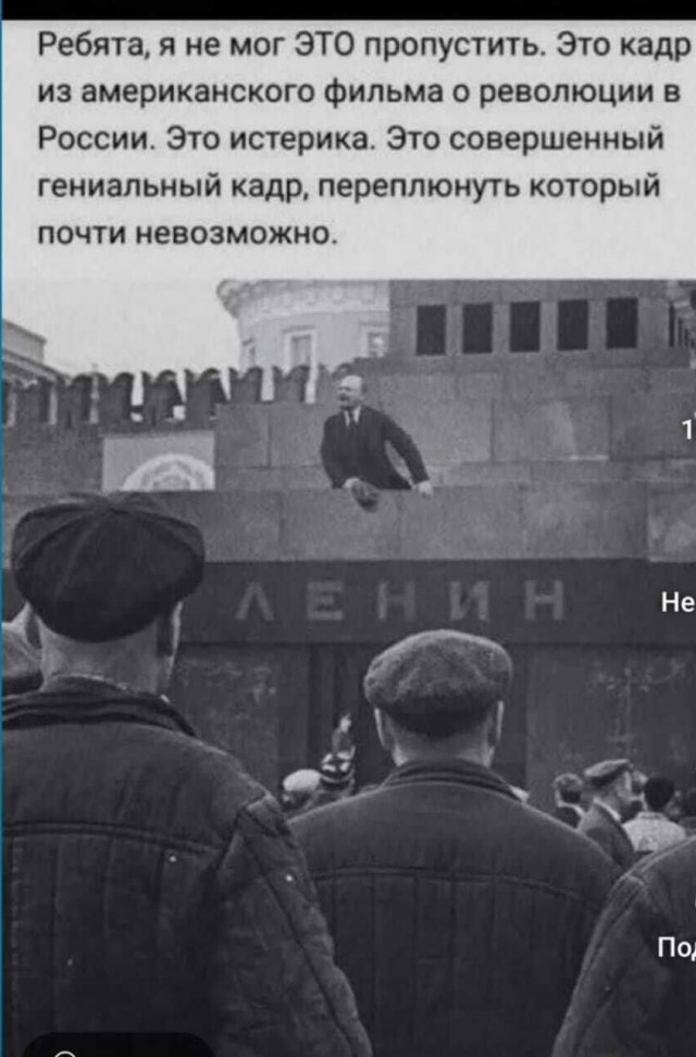 Смешные картинки с надписями и чужой кот