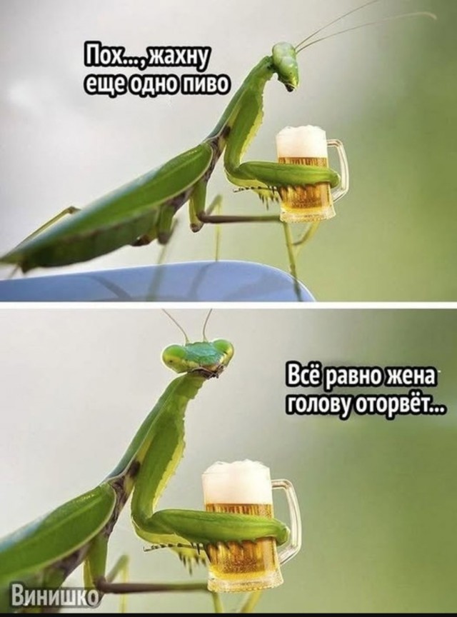 Завалялось тут случайно немного забавных картинок