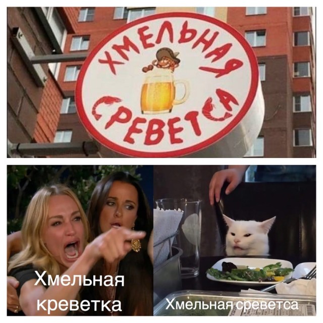 Знаменитый кот