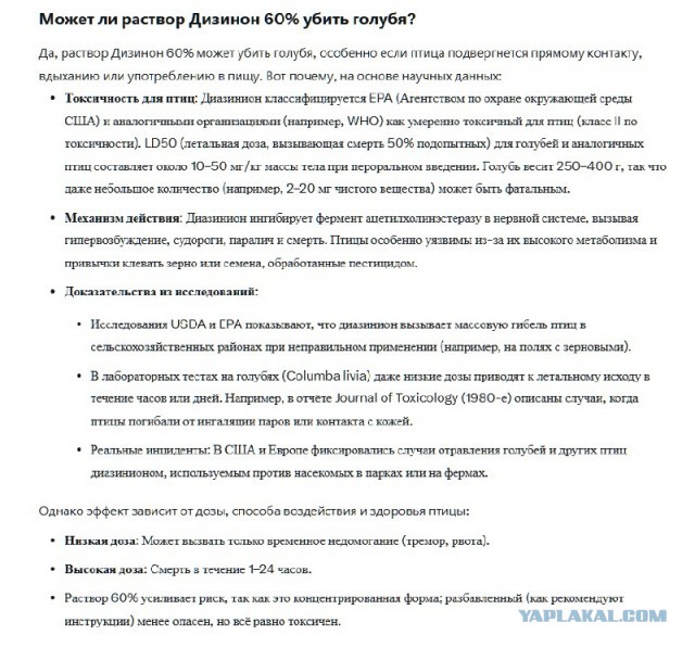 Двор в говне или "повелительница голубей"