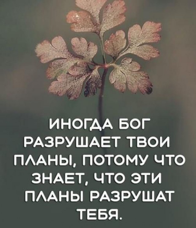 Прикольные и просто красивые картинки 26.09.2025