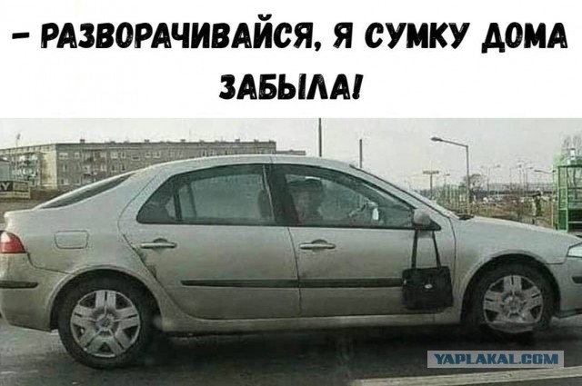 Веселые картинки в понедельник (06.10)