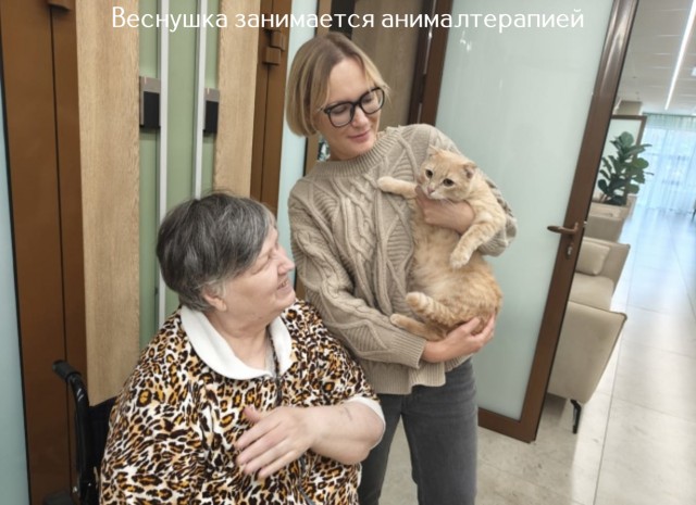 Жизнь домашнего приюта "Котоленд" 515