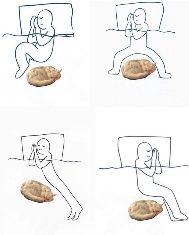 Шерстяные пидо.... братья наши меньшие