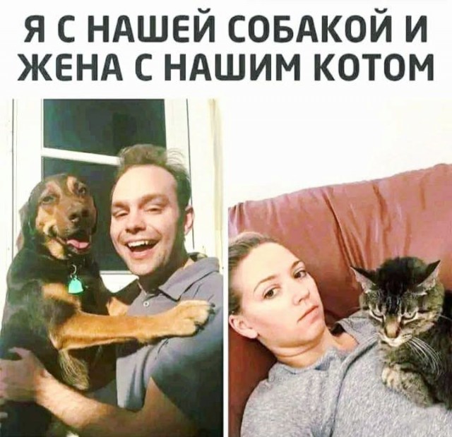 Среды картинки