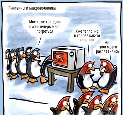 Королева кухни.