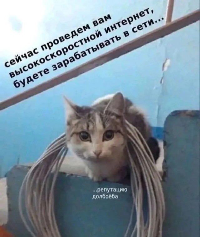 Вторника картинки