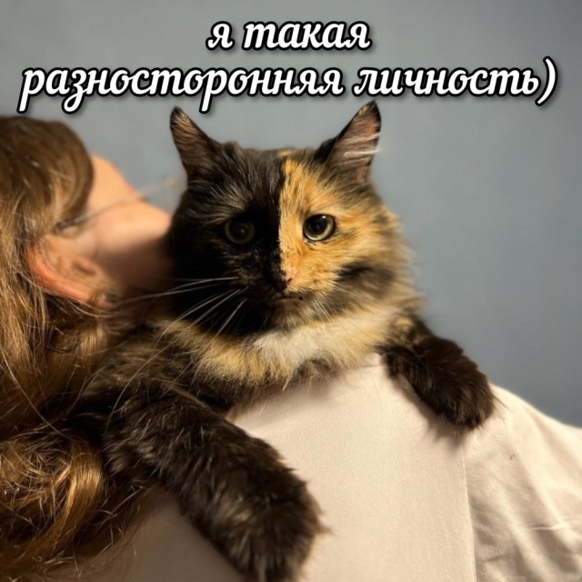 Воскресные картинки