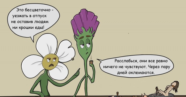 Аспарагусы