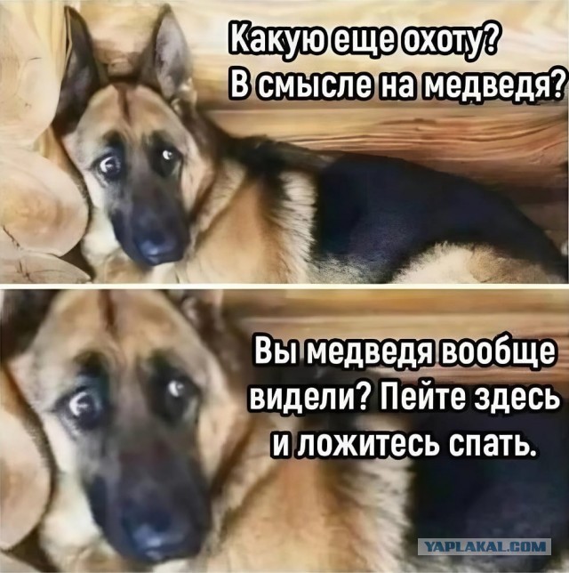 В-выдержка