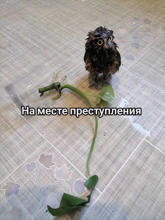Так себе картинки 13.07.26