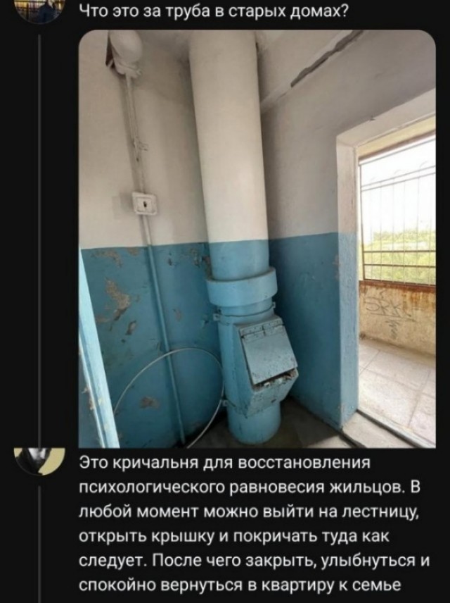 Картинки для деградации 259 (разной степени свежести)