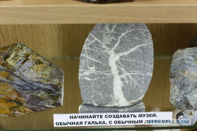 Музей шедевров природы