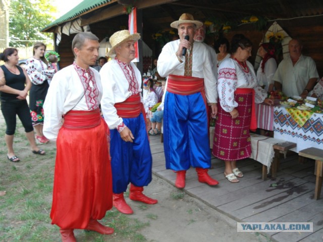 Челюсти