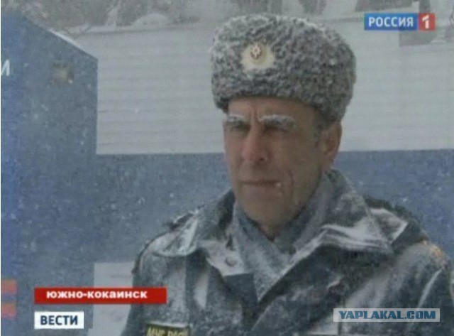 Чиновник нюхал кокаин