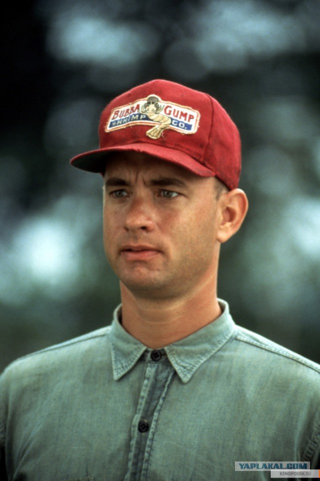 8 штатов США последовали примеру России