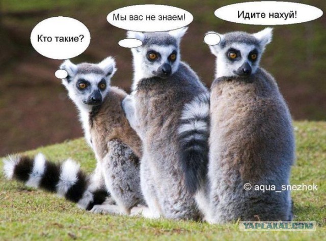 Гребенщиков - Путину: "Перестаньте врать народу!