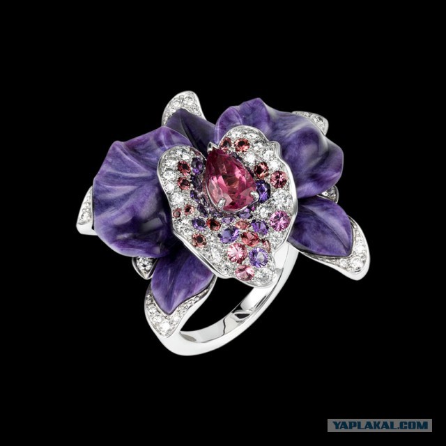 Хобби, плавно переходящее в работу