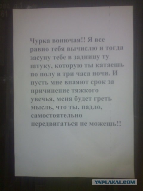 Соседи.. такие соседи