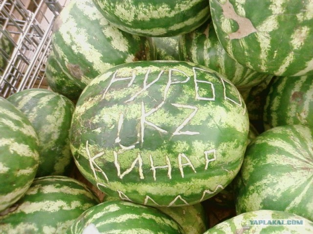 А скоро арбузики пойдут...