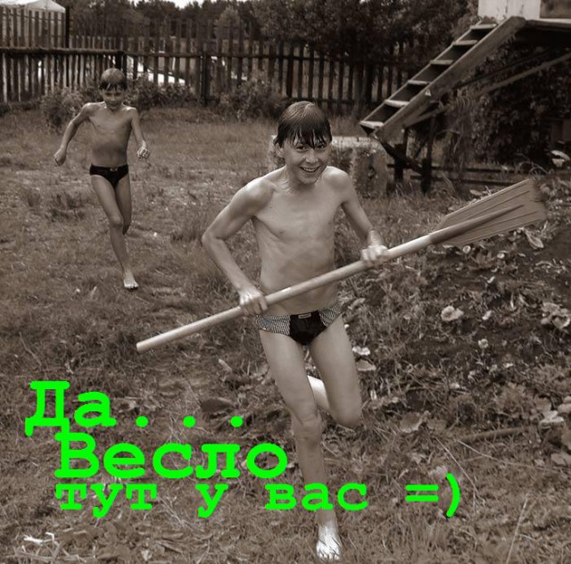 Котеньки люто-бешено рады прогулке на природе