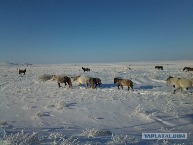 Деревенская Америка