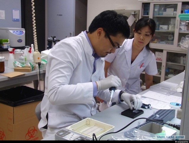 Один день врача-гепатолога в Японии