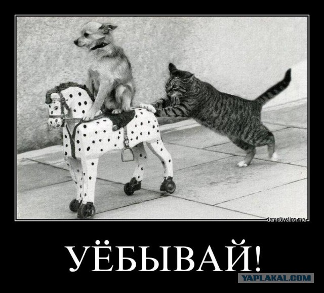 Что от нас скрывают?