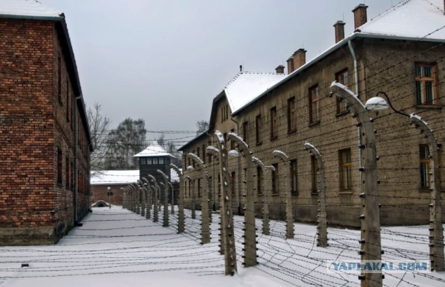 Окно в Европу: кадры из лагеря беженцев. Венгрия