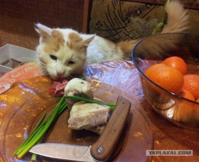 Складные ножи