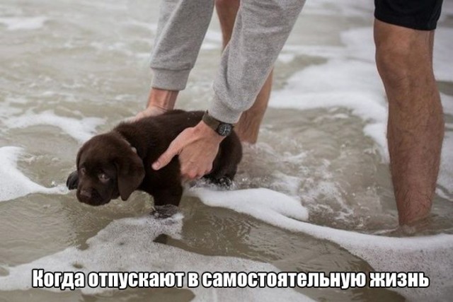 Подборка фотоприколов