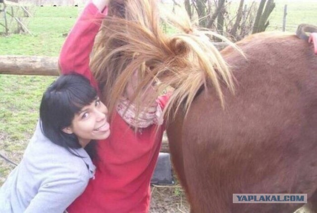 Ужасы и приколы из соцсетей 18+