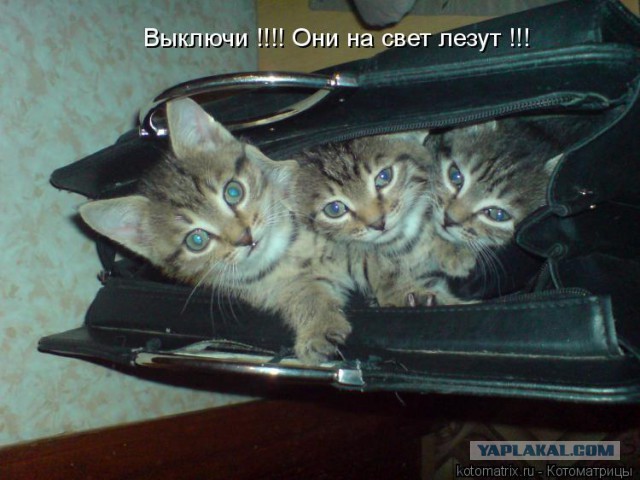 Я их 238 насчитал. Посчитайте за меня, пож, я за пивом схожу