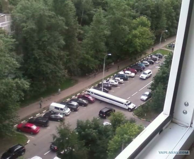 Подборка интересных и веселых картинок