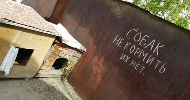Подборка интересных и веселых картинок