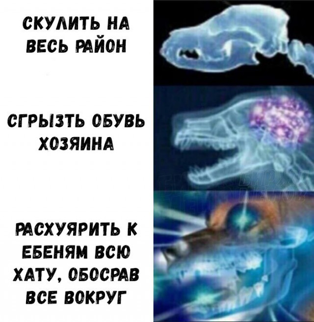 Немного деграданса - 5