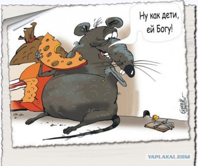 Как я понял, что удачно женился...