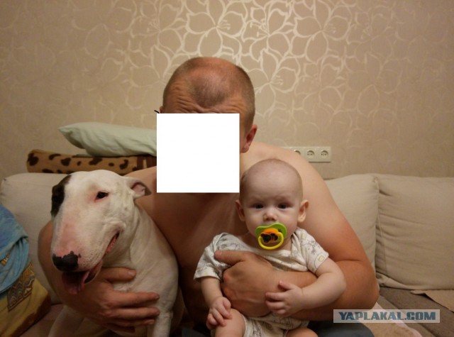 Моя порося. Просто так