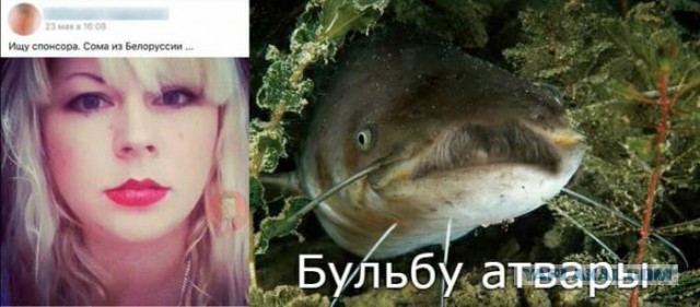 Подборка интересных и веселых картинок