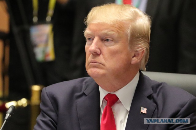 Трамп выдал очередное, гениальное