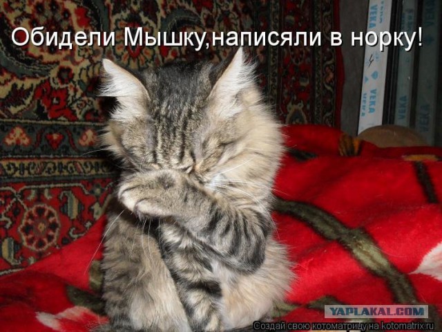 Нашли тайник в глухом лесу. Вскрываем загадочный контейнер